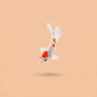 Bottomless Koi — cover art