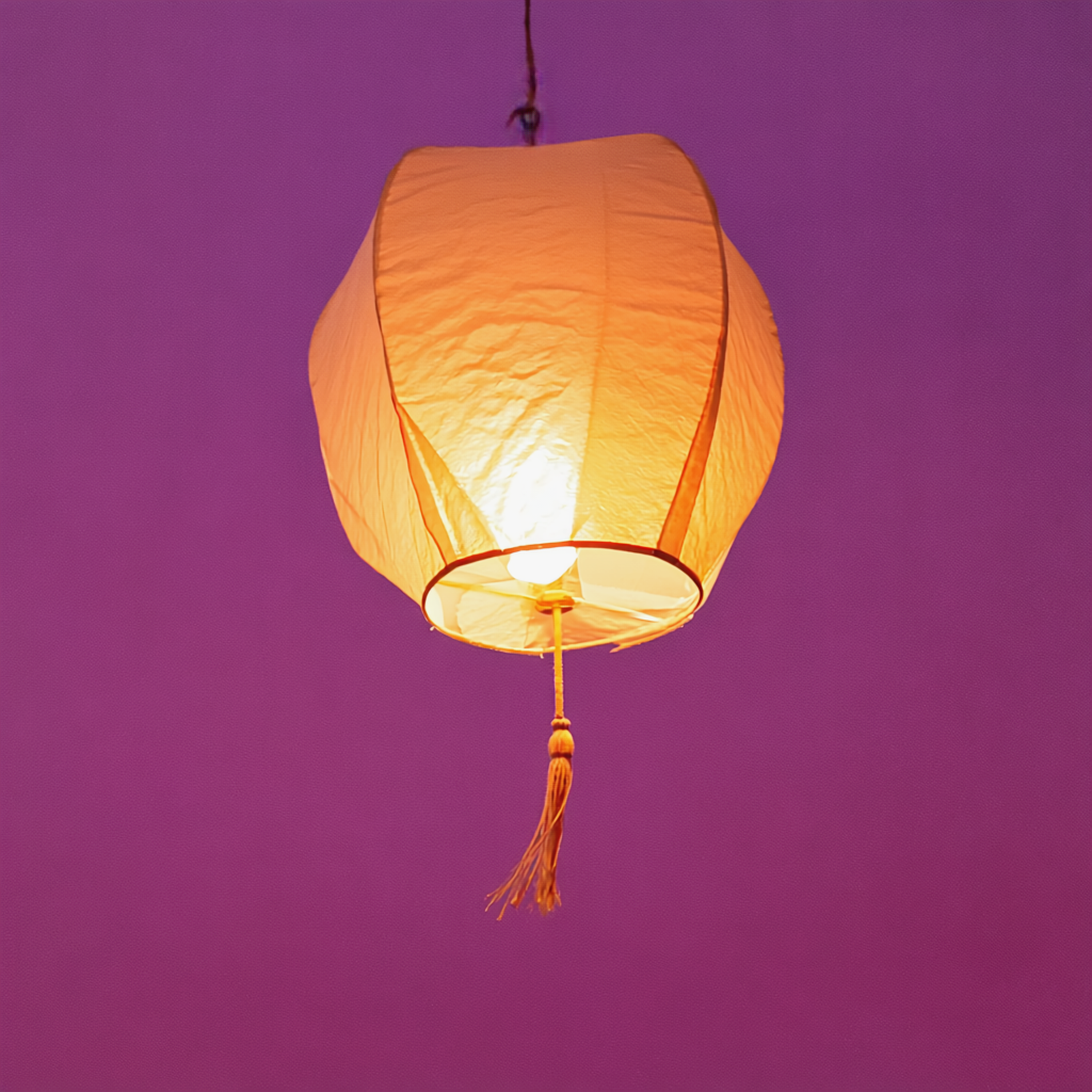 Crane Lantern — Dr.DIO cover art
